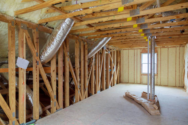 Best Cellulose Insulation in Rio Pinar, FL