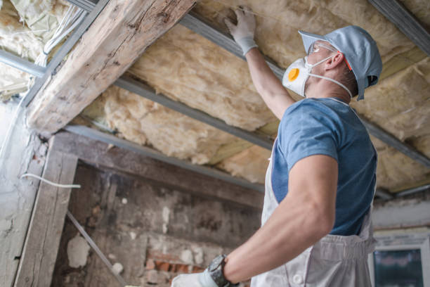 Best Insulation for Specific Applications in Rio Pinar, FL
