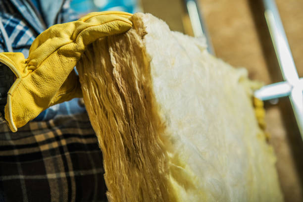 Types of Insulation We Offer in Rio Pinar, FL